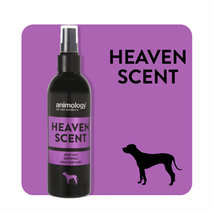 animology-heaven-scent-fragrance-mist--d03a67.png